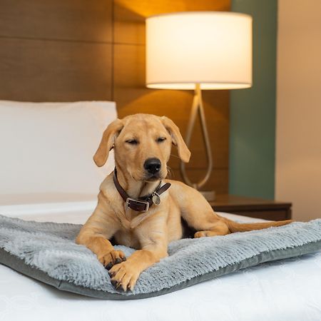 Staybridge Suites - Hillsboro North By Ihg Ngoại thất bức ảnh