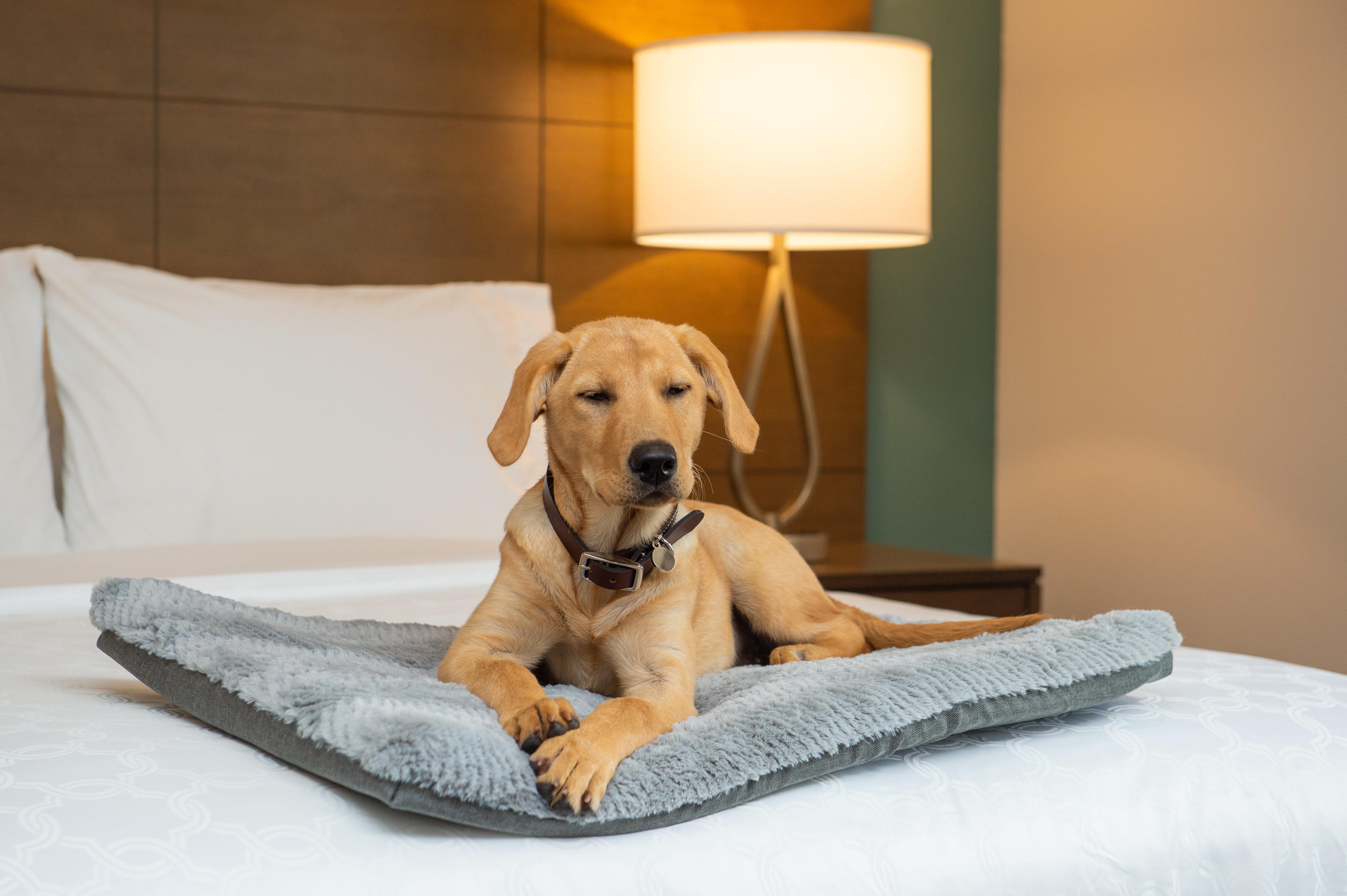 Staybridge Suites - Hillsboro North By Ihg Ngoại thất bức ảnh